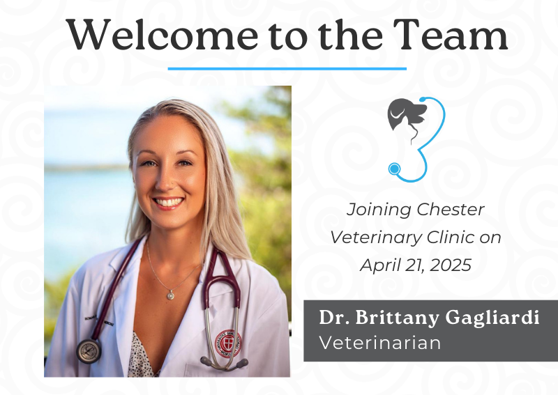 Carousel Slide 2: Welcome to the team Dr. Gagliardi